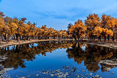 Epic喜加一：《亡灵诡计》免费、下周送《木卫四协议》